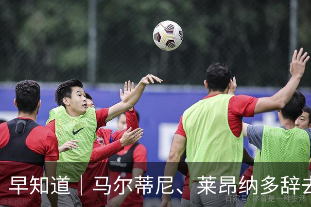 早知道｜马尔蒂尼、莱昂纳多辞去意大利队职务